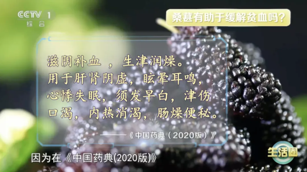 20241204082648764