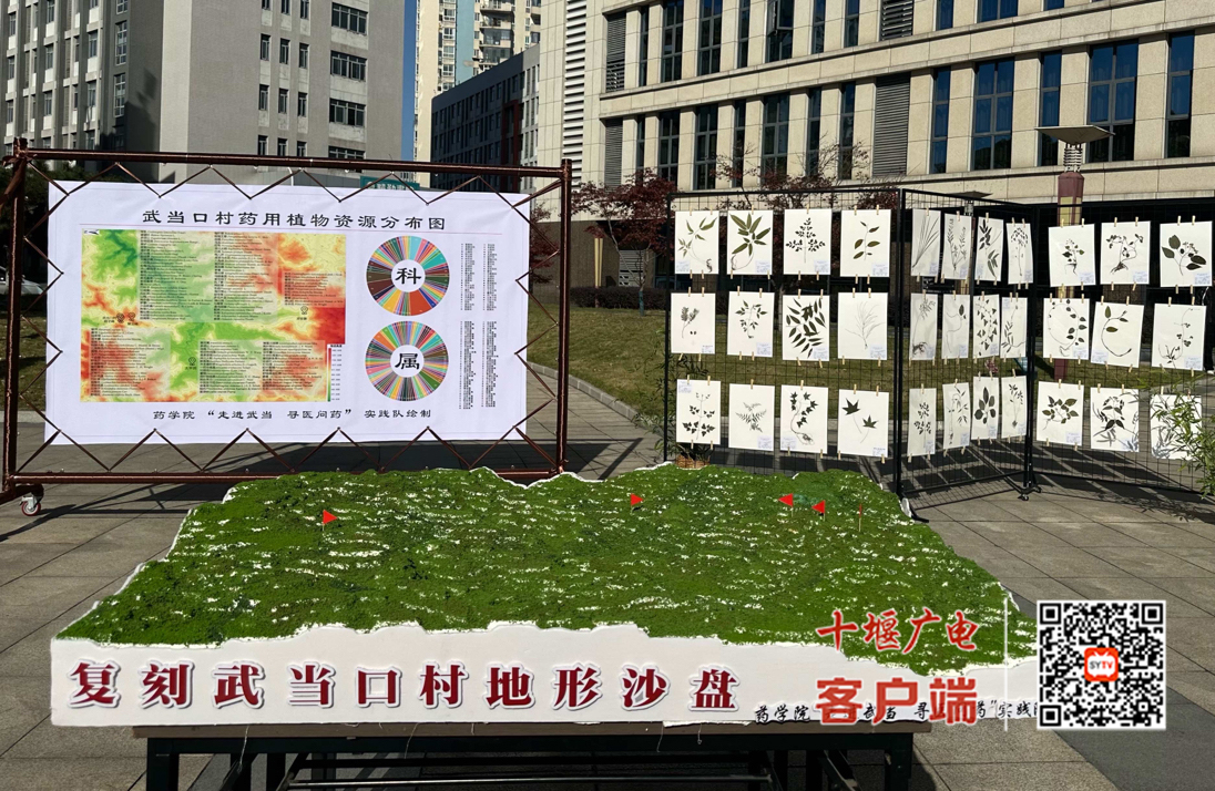 图片1