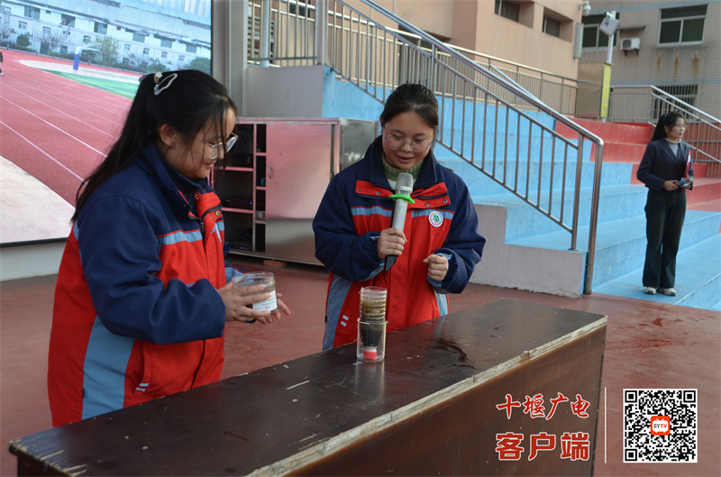 微信图片_20241205144708_副本
