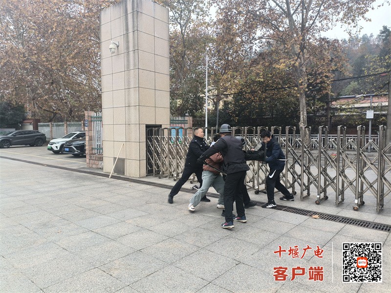 微信图片_20241206222005_副本