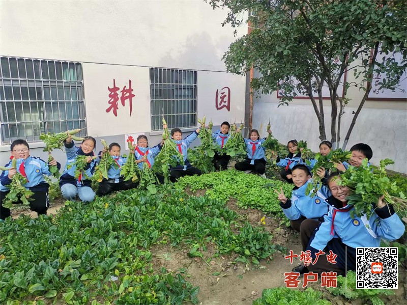 微信图片_20241209084423_副本