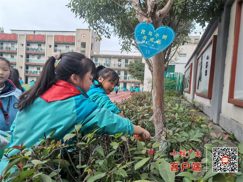 微信图片_20241209084419_副本