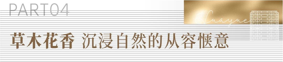 微信图片_20241209103858