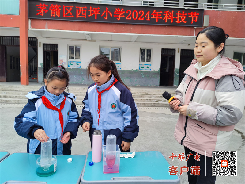 微信图片_20241209190946_副本