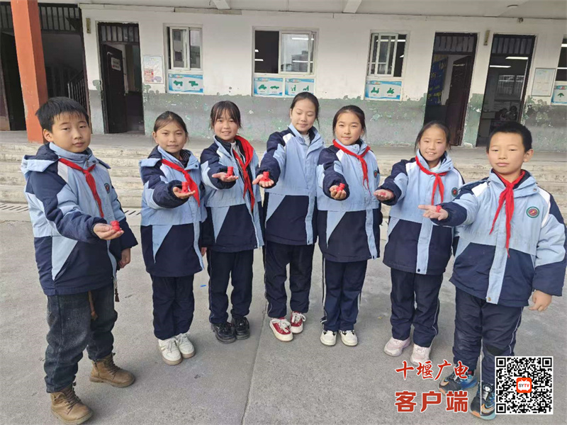 微信图片_20241210104555_副本