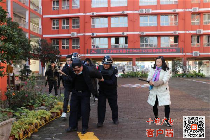 微信图片_20241210155936_副本
