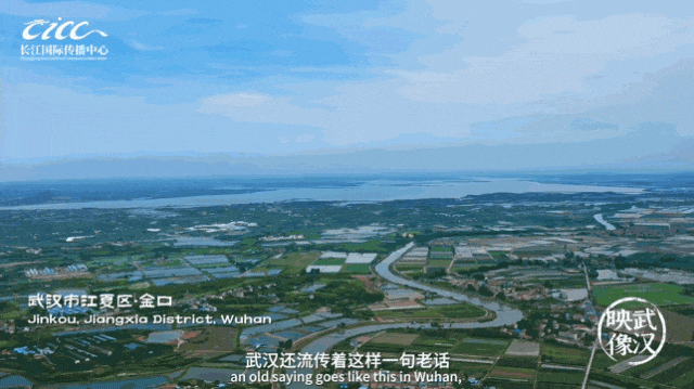 640_wx_fmt=gif&tp=webp&wxfrom=5&wx_lazy=1&wx_co=1 (3)