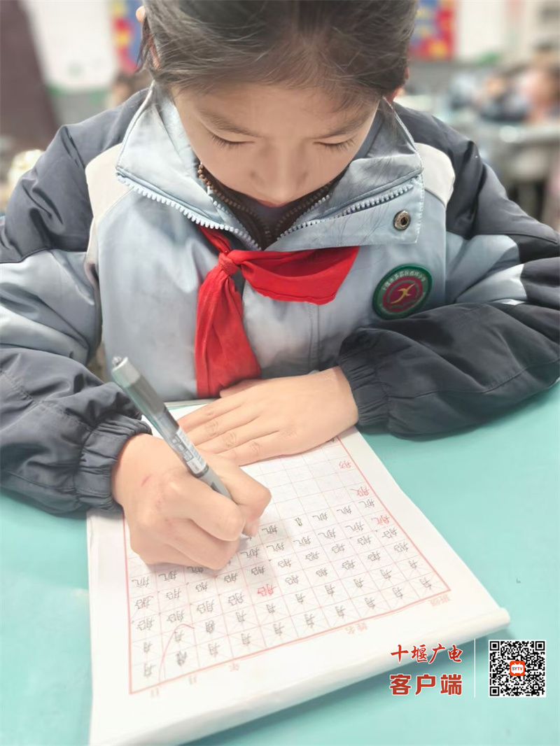 微信图片_20241219185451_副本