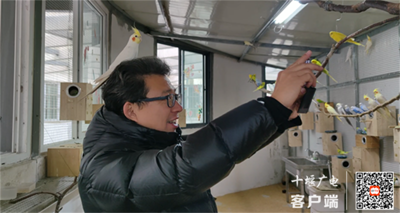 802afd39290544eb9e1172260105b562_image_副本
