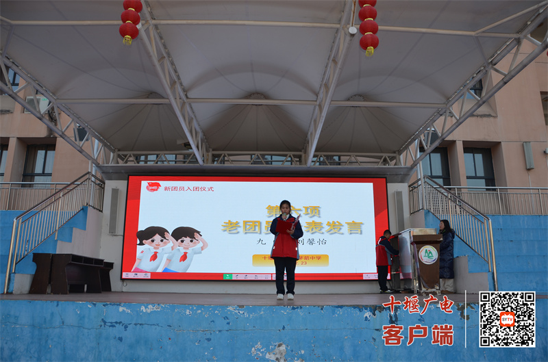 微信图片_20241224192447_副本