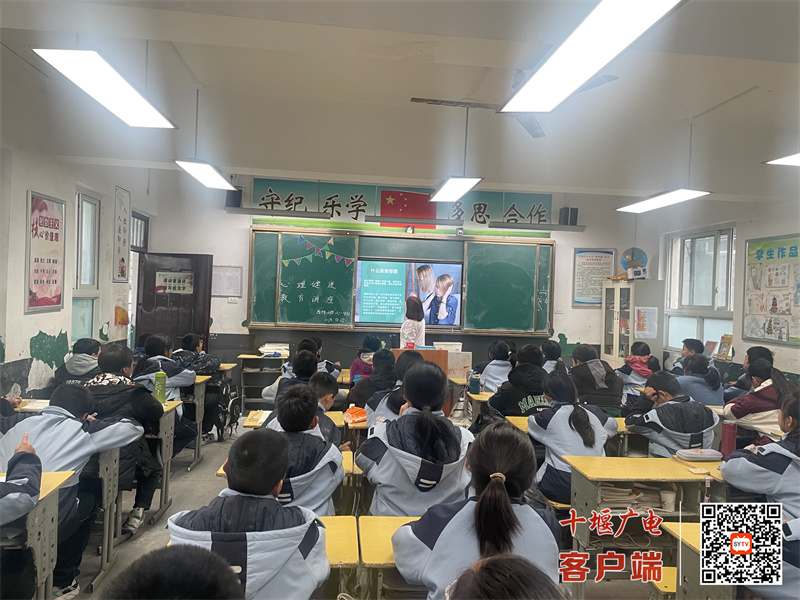 微信图片_20241225203318_副本