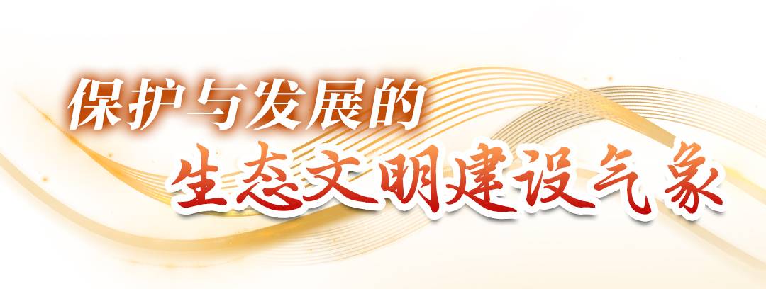 629de8d1-ff95-403e-b711-4773f5e3a7c4