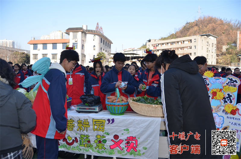微信图片_20250106113339_副本