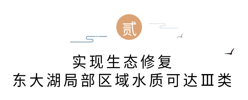 6d3741eee5628f612e06838d6319ef09