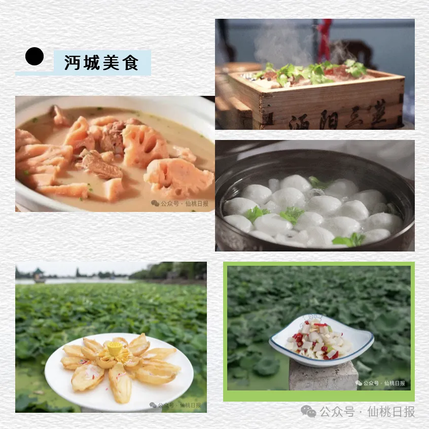 640_wx_fmt=png&from=appmsg&tp=webp&wxfrom=5&wx_lazy=1&wx_co=1 (1)