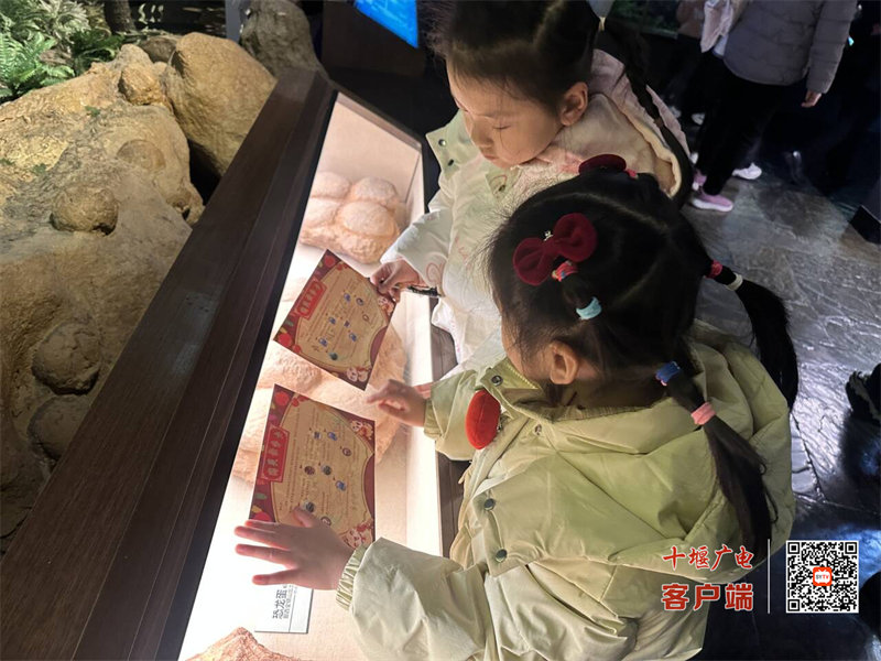 寻宝活动1