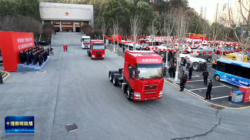 微信图片_20250208202545