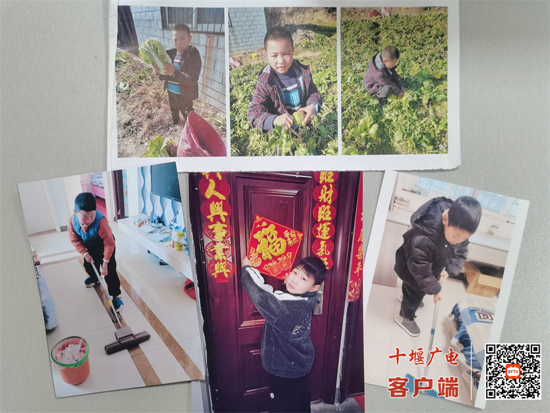 家务劳动