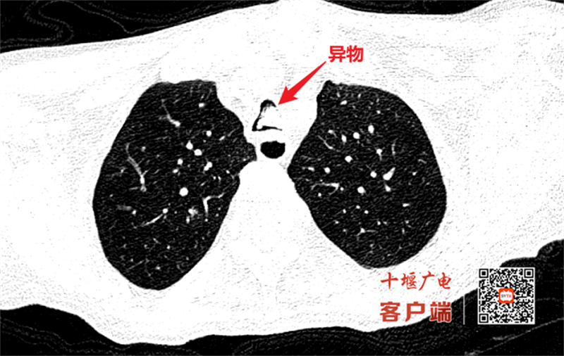 微信图片_20250214154222