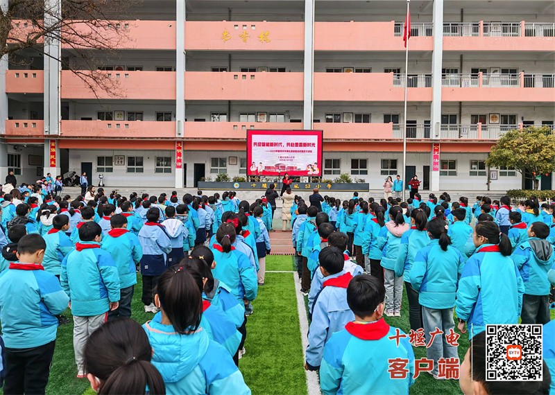 微信图片_20250214184526_副本