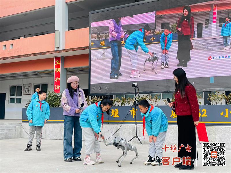 微信图片_20250214184530_副本