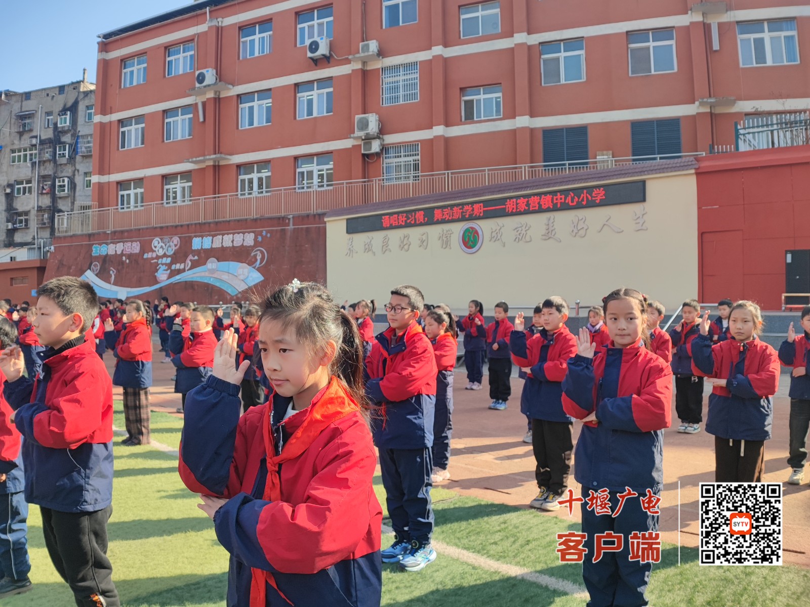 图片1