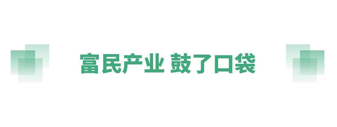 95b0ade41c7f01118f4545d319940f44_20250226094746344