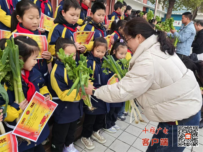 微信图片_20250228185639_副本