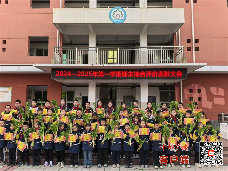 微信图片_20250228185648_副本