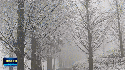 我市大部分地区迎来中到大雪[00-00-35--00-00-42]