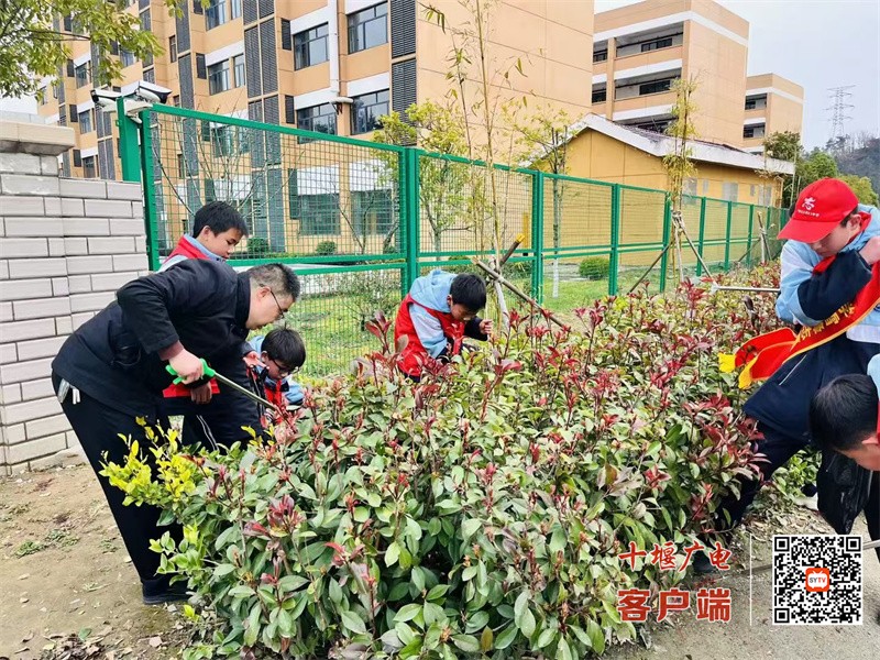 微信图片_20250305200546_副本
