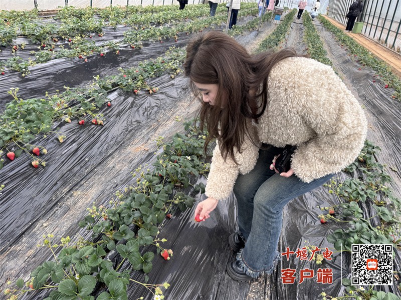 微信图片_20250309183425_副本