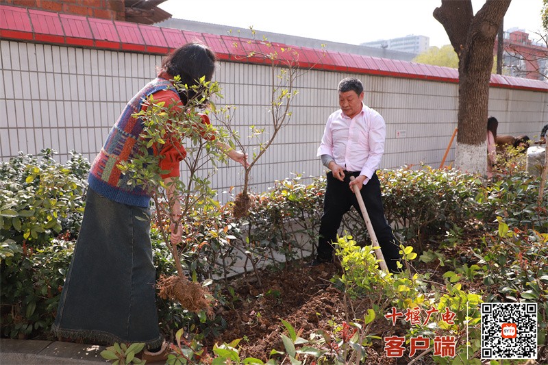 微信图片_20250311200940_副本