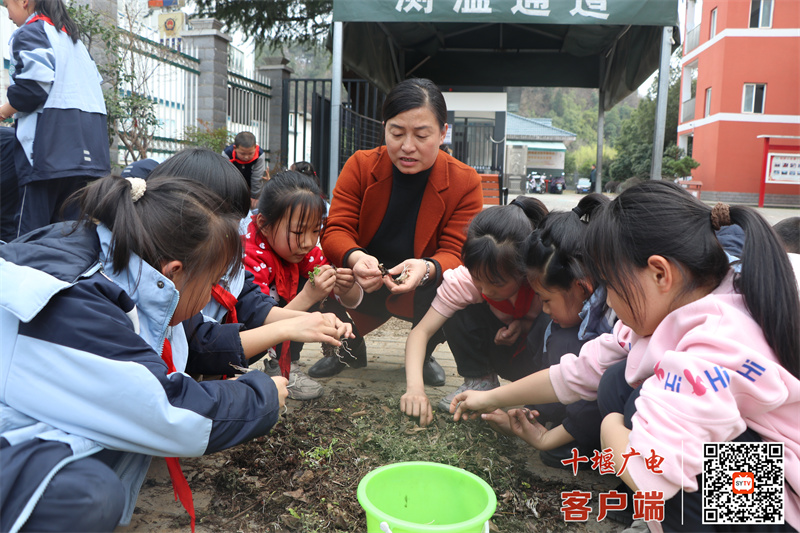 微信图片_20250311201606_副本