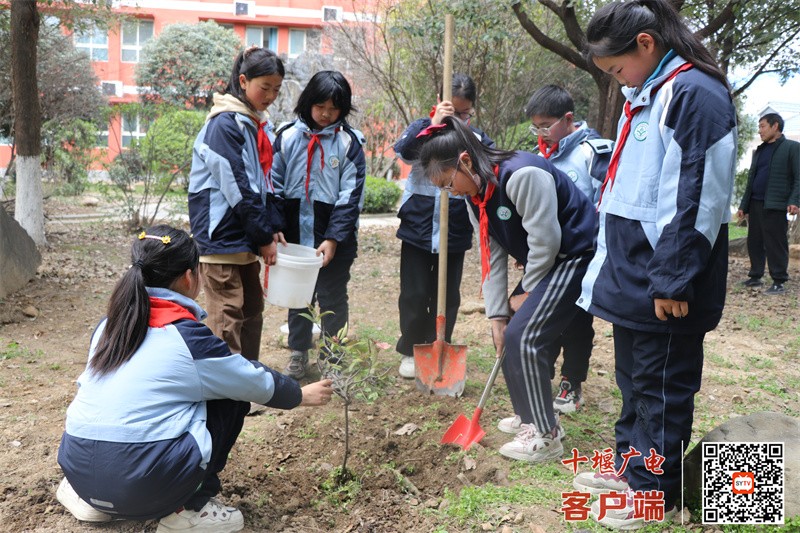 微信图片_20250311201619_副本