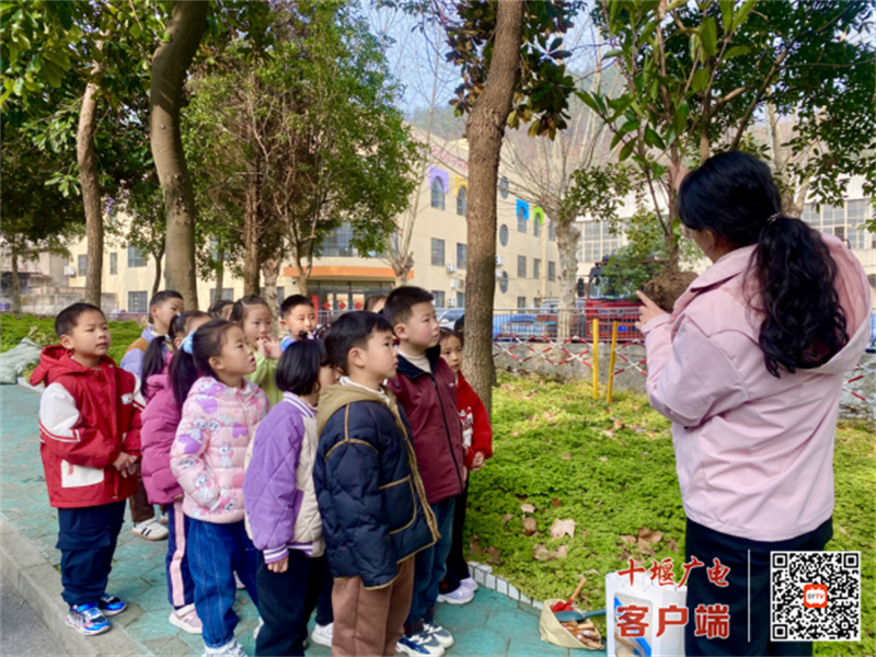 微信图片_20250311164735
