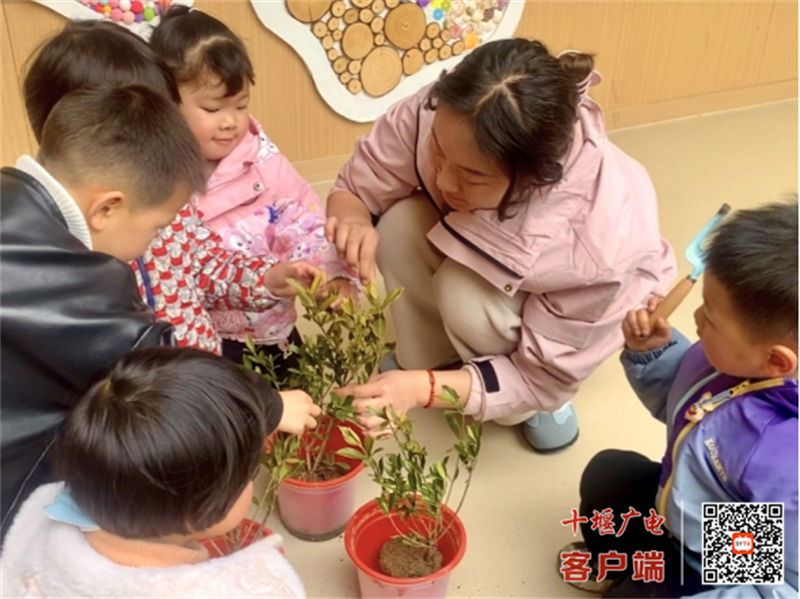 微信图片_20250311164754