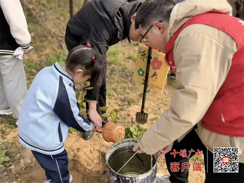微信图片_20250312210817_副本
