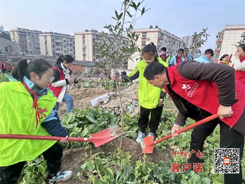 微信图片_20250312230044_副本