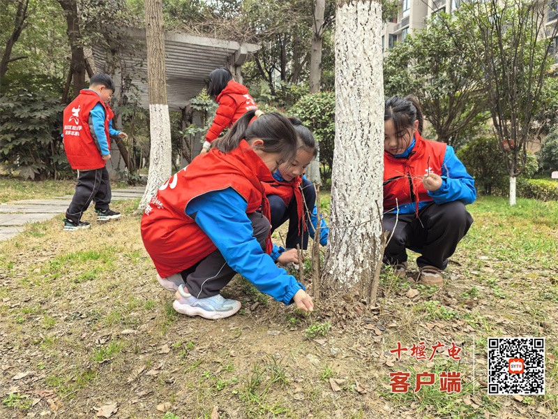 微信图片_20250312230418_副本