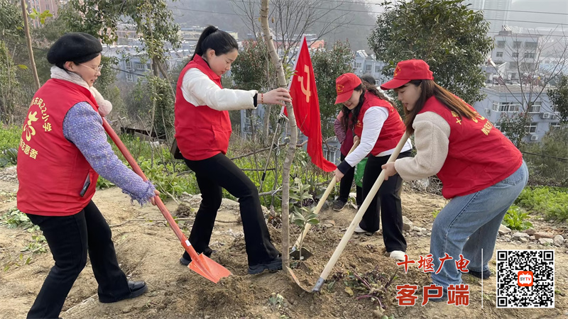 微信图片_20250312230926_副本