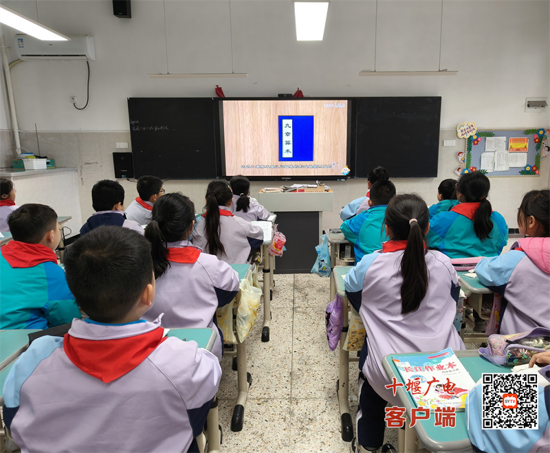 微信图片_20250317161209_副本