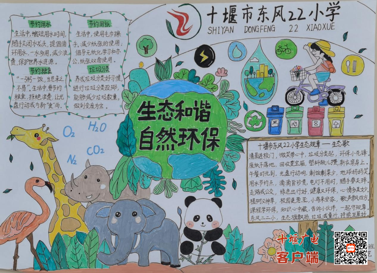 图片7