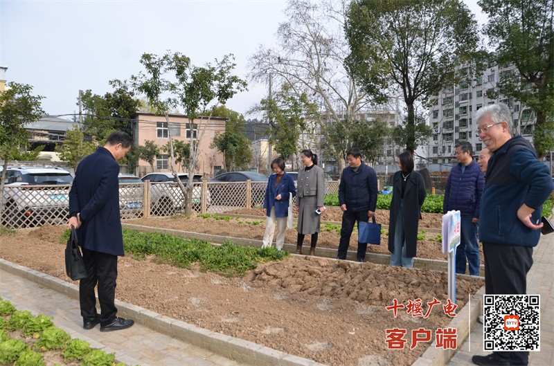微信图片_20250318202547_副本