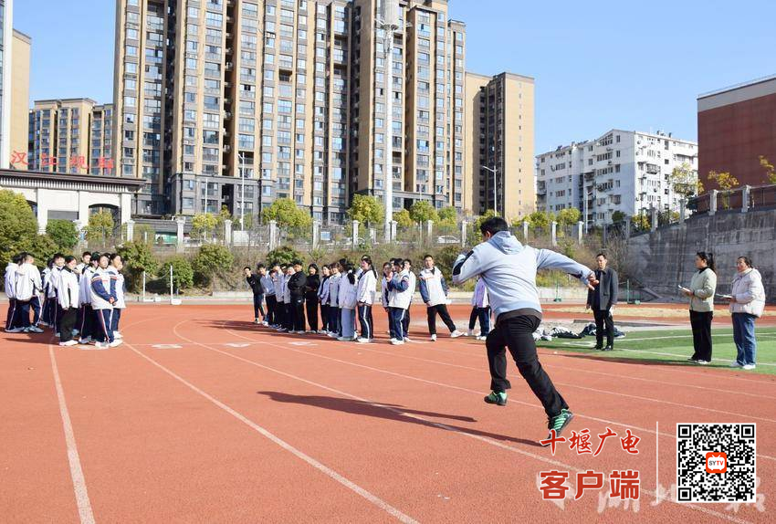 图片3