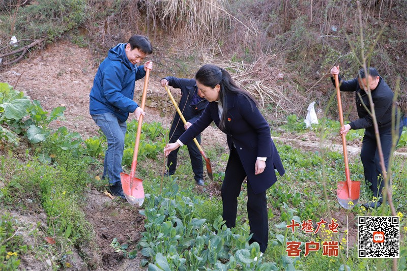 微信图片_20250320194711_副本