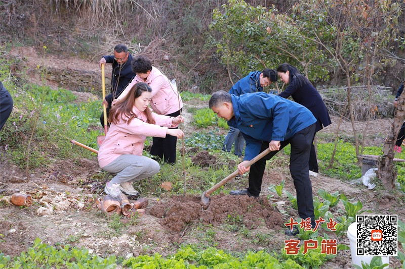 微信图片_20250320194715_副本
