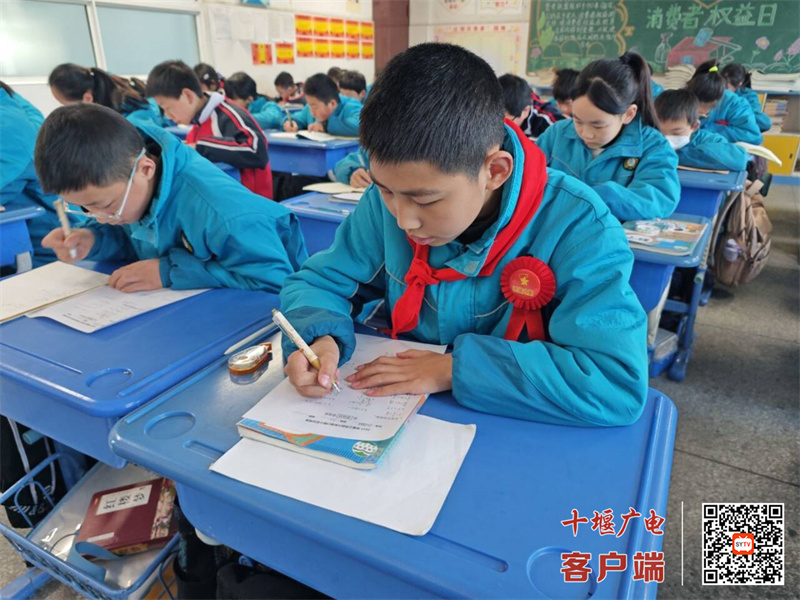微信图片_20250321214442_副本