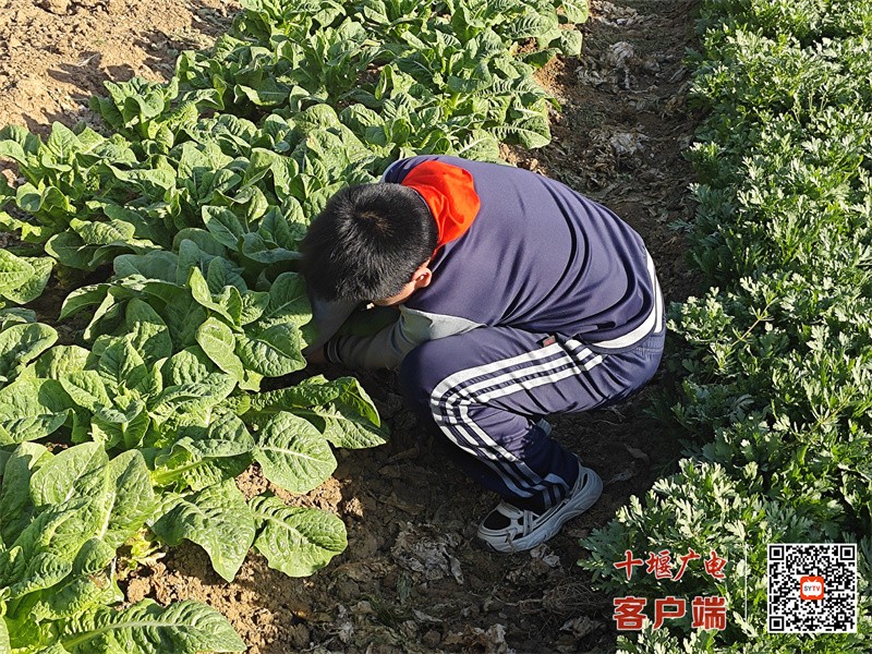微信图片_20250326211854_副本