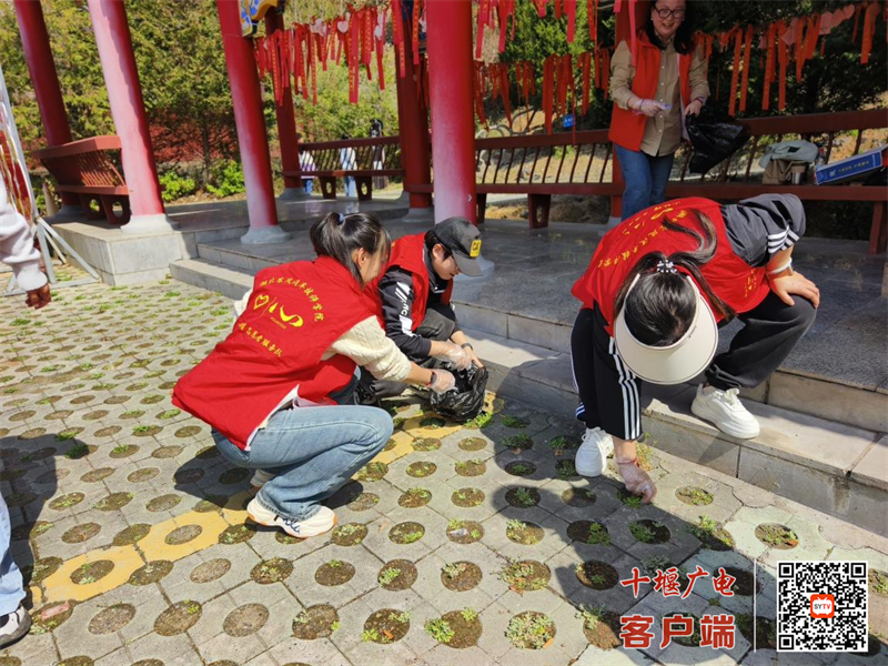 图片2_副本